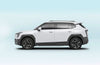 Dongfeng Nammi 06