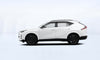 GAC GS4 